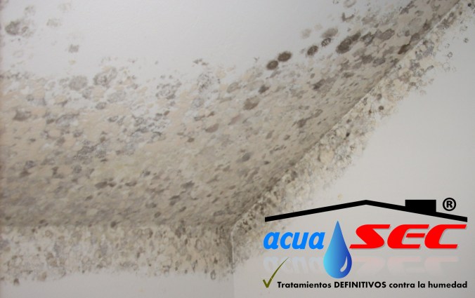 hongoscondensacic3b3nacuasec