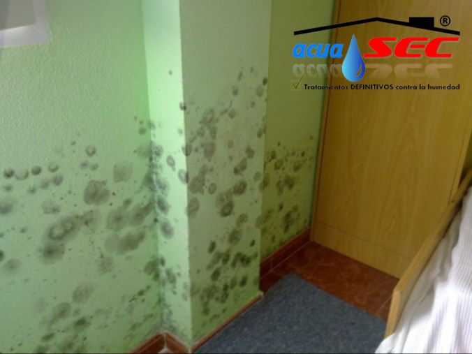 moho-paredes-acuasec